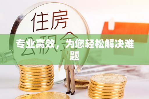 河源专业高效，为您轻松解决难题