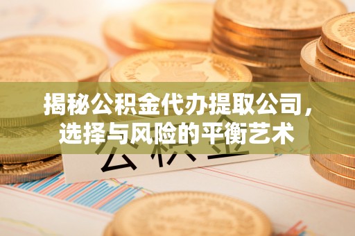河源揭秘公积金代办提取公司，选择与风险的平衡艺术