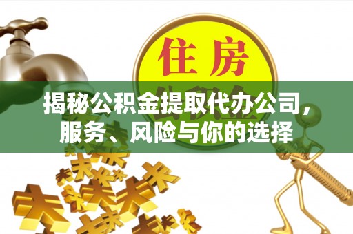 河源揭秘公积金提取代办公司，服务、风险与你的选择