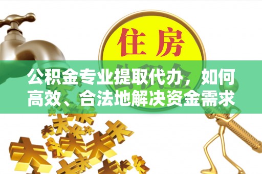 河源公积金专业提取代办，如何高效、合法地解决资金需求？