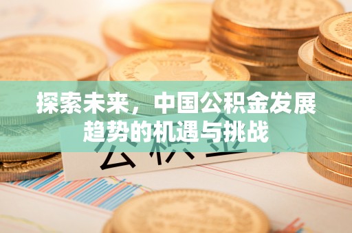河源探索未来，中国公积金发展趋势的机遇与挑战