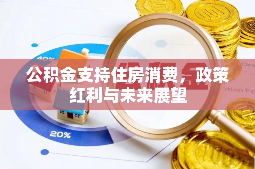 河源公积金支持住房消费，政策红利与未来展望