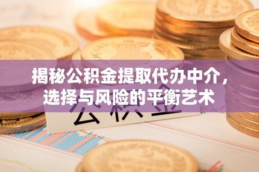 河源揭秘公积金提取代办中介，选择与风险的平衡艺术