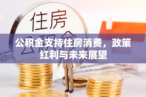河源公积金支持住房消费，政策红利与未来展望