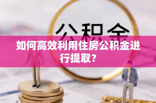 河源如何高效利用住房公积金进行提取？