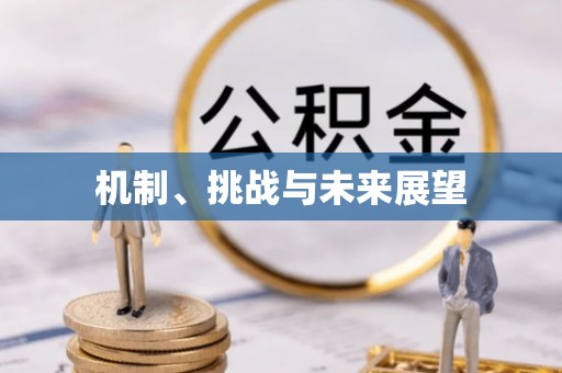 河源机制、挑战与未来展望