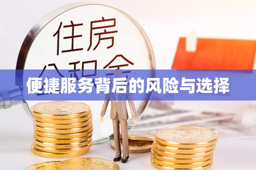 河源便捷服务背后的风险与选择