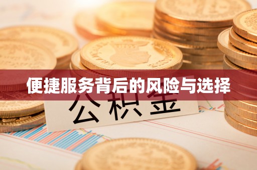 河源便捷服务背后的风险与选择