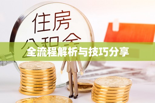 河源全流程解析与技巧分享