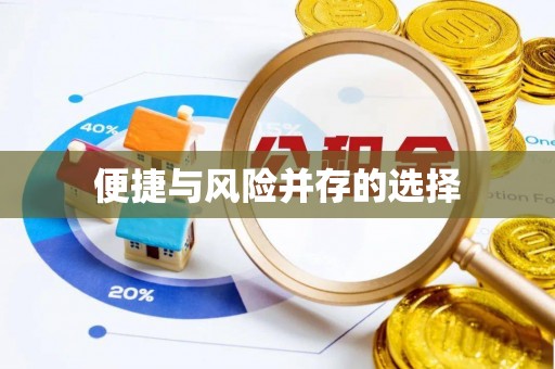 河源便捷与风险并存的选择