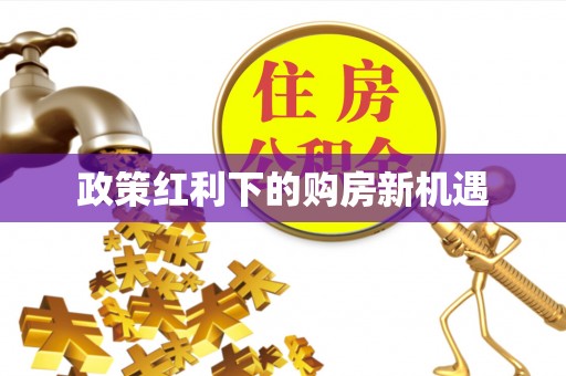 河源政策红利下的购房新机遇