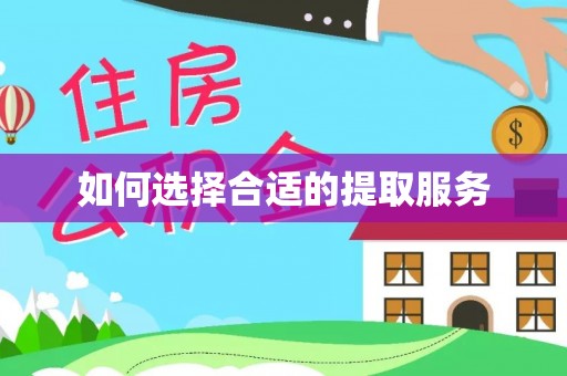 河源如何选择合适的提取服务