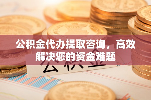 河源公积金代办提取咨询，高效解决您的资金难题